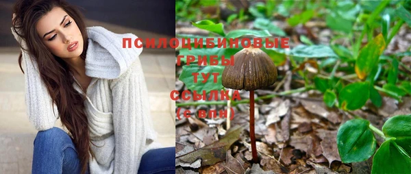 кокаин премиум Вяземский