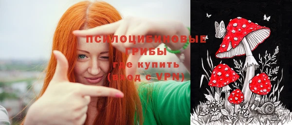 мдпв Вязьма
