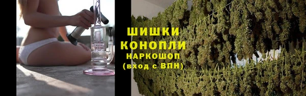 мдпв Вязьма