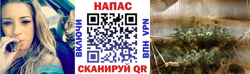 Бошки Шишки Amnesia  Калачинск 